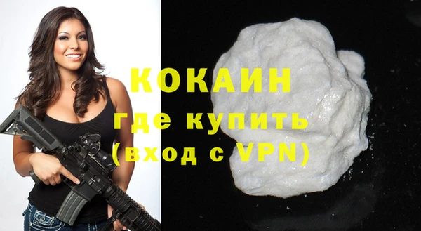 стаф Аркадак