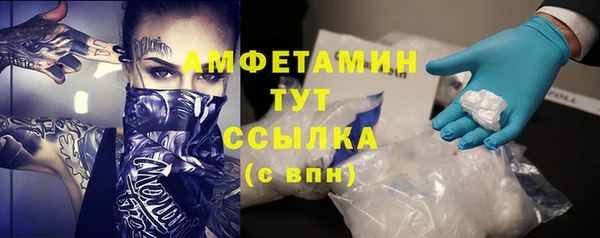стаф Аркадак
