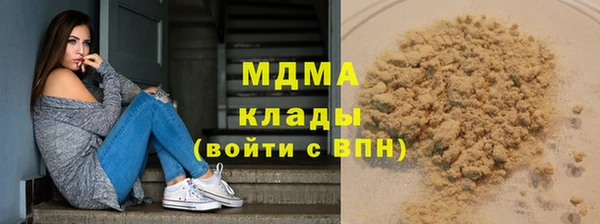 стаф Аркадак