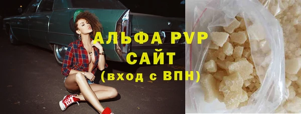 стаф Аркадак