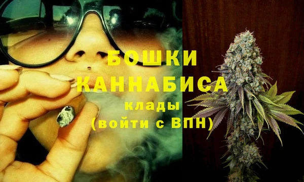 сатива Арсеньев