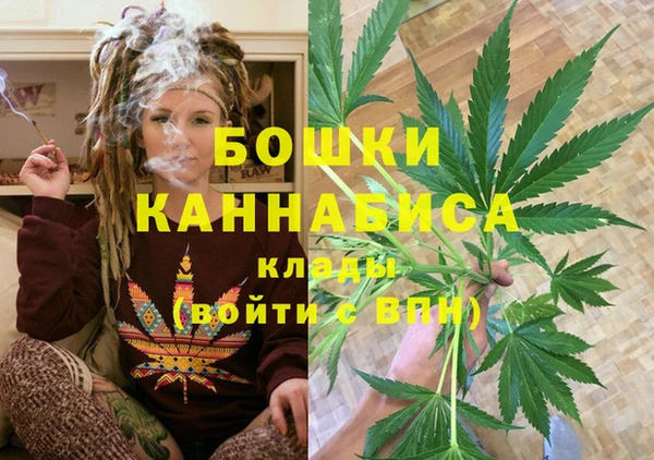 стаф Аркадак
