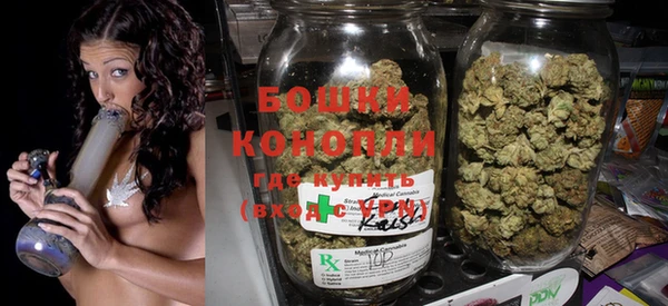 стаф Аркадак