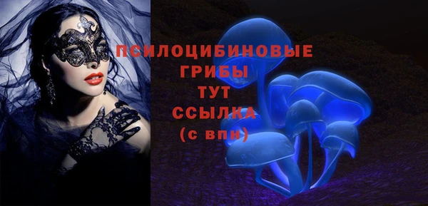 первитин Армянск