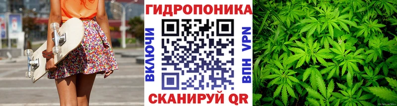 купить закладку  Учалы  OMG сайт  Шишки марихуана семена 